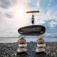 做﻿外‍链‌是﻿什‍么‍意​思​